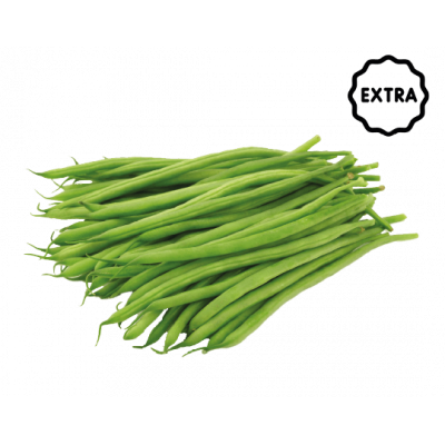 Haricot vert extra