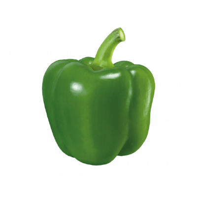 Poivron vert