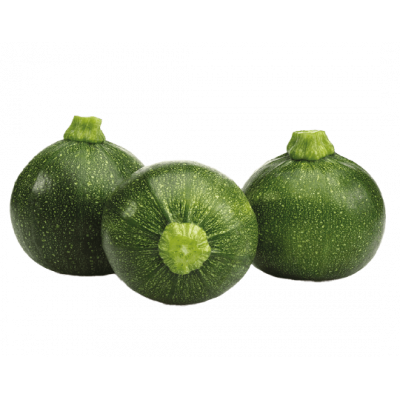 Courgette ronde