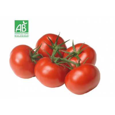 Tomate bio