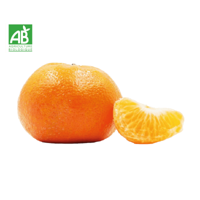 Clementine bio