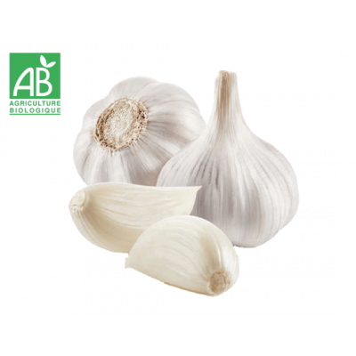 Ail blanc bio