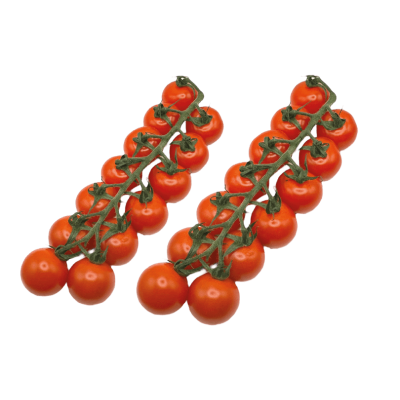 Tomate cerise branche