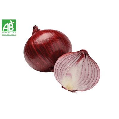Oignon rouge bio