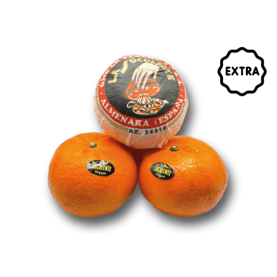 Clémentine Soculente