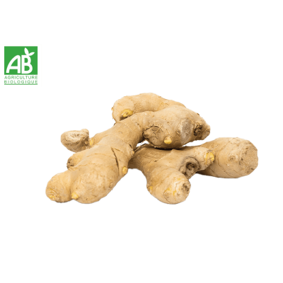 Gingembre bio