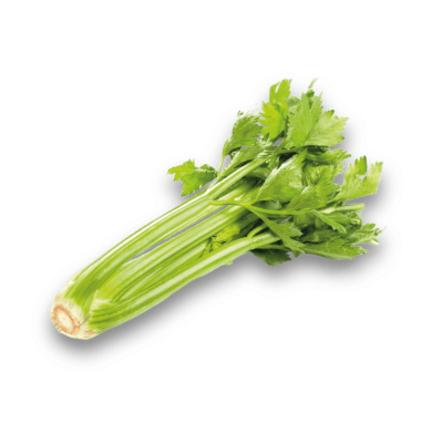 Céleri branche entier