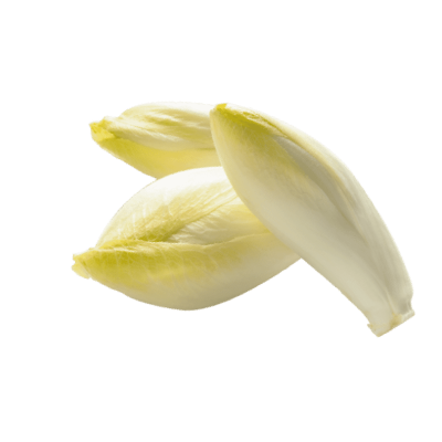 Endive
