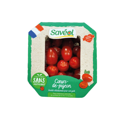 Tomate cerise allongée barq