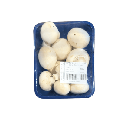 Champignon blanc barq