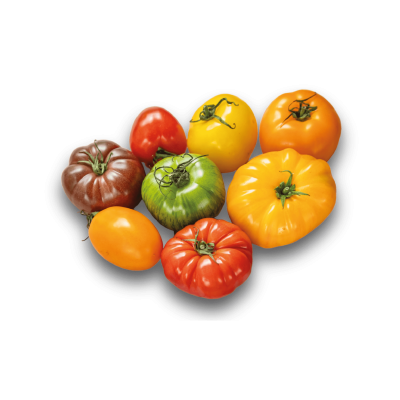 Tomate Collection Gourmande