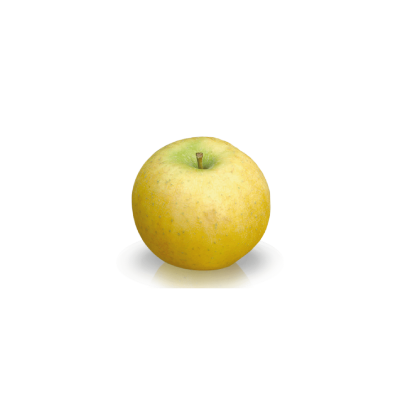 Pomme Chantecler petite