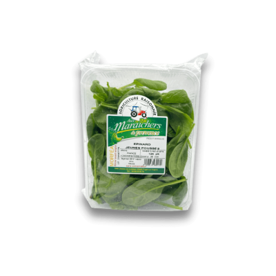 Pousse épinard barquette
