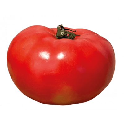 Tomate à farcir