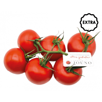 Tomate Jouno
