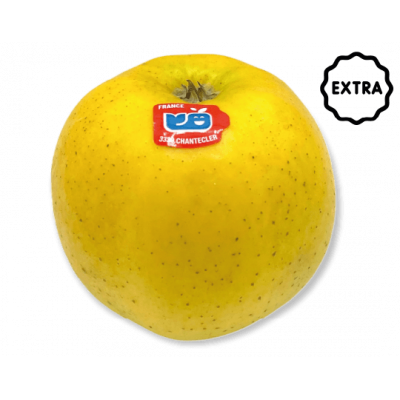 Pomme Chantecler Extra