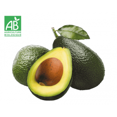 Avocat bio