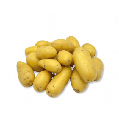 Pomme de terre Charlotte