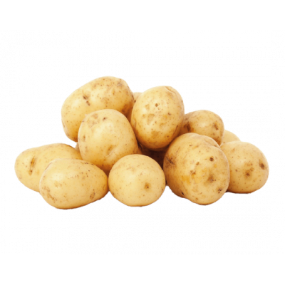 Pomme de terre Agata