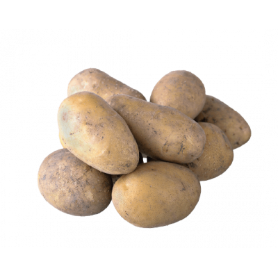 Pomme de terre Bintje