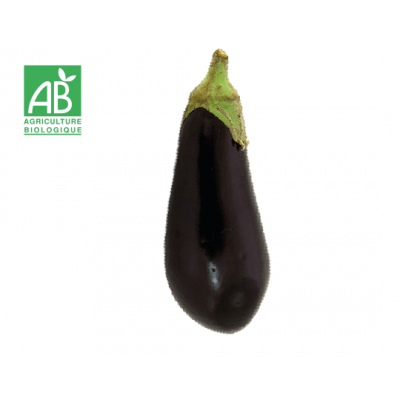 Aubergine bio