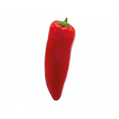 Corne de boeuf rouge