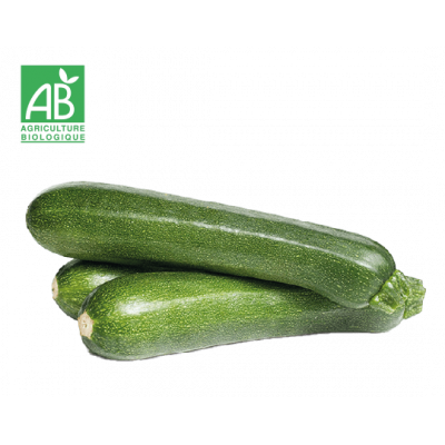 Courgette bio