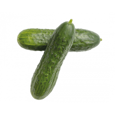 Mini concombre