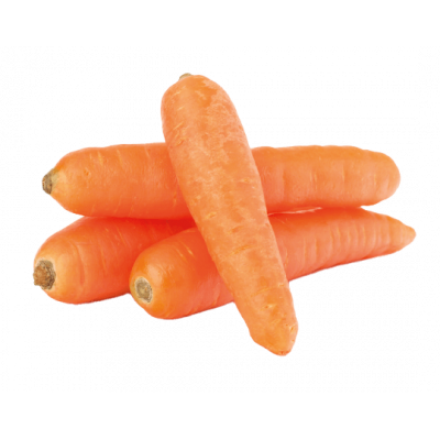Carotte