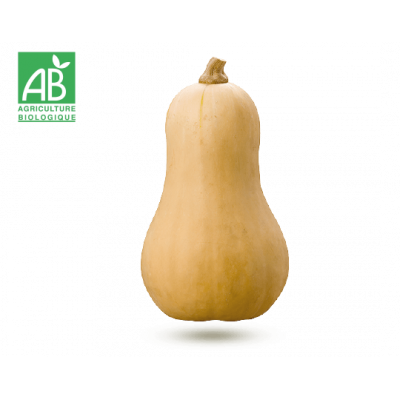 Courge Butternut Bio