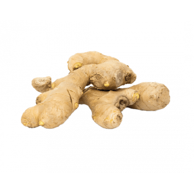 Gingembre