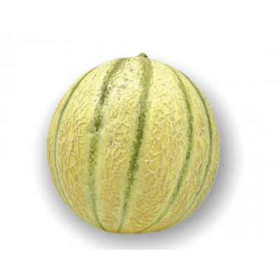 Melon charentais